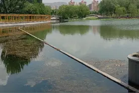 谈谈你刚进入社会的第一份工作图片