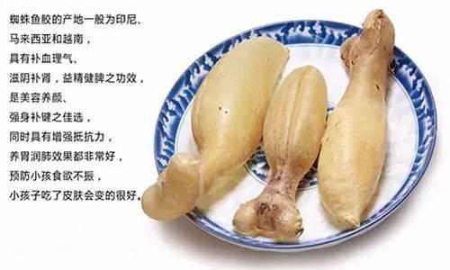 寶和行花胶 宝瓶堂花胶