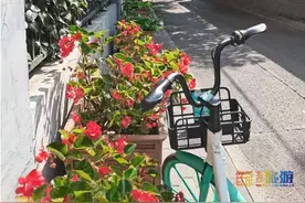 带你看“真实”的北京胡同！北京最古老的胡同！图片