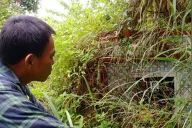 豫籍赴台老兵离世 猛犸新闻、头条寻人期待您一起帮他们落叶归根图片