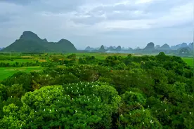 桂林这里出现令人惊叹的景象图片