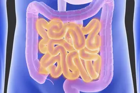 克罗恩病是一种非特异性的肠道炎症性疾病，好发于男性