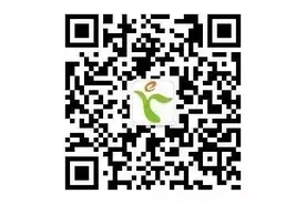 河南省教育厅网络“名校同步课堂”手机、电视直播收看介绍大全图片