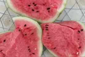 网购水果攻略：多渠道数据分析整理——“绝美”西瓜食用指南图片