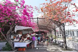 巴拿马的海岸线，不仅能看到风韵犹存的老城，还能看到高楼林立图片