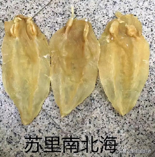 鱼胶 价钱 鱼胶价格