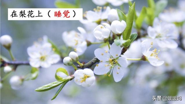 二年级下册语文课文2《找春天》图文详解及同步练习