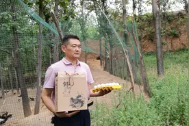 鸳鸯蛋愁坏贫困户 帮扶人变身“快递员”图片