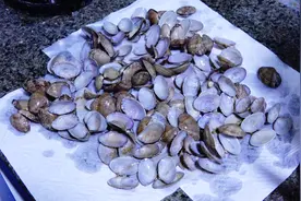 吃完花蛤，壳先别急着扔，洗一洗粘一粘，抽烟的时候能用到视频封面