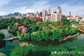 【活动】WarmCar柳车游柳 打卡游玩第二期来啦！图片