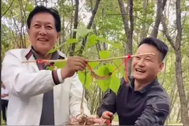 69岁唐国强近况曝光，现身东北挖人参，打扮低调还俯身帮人擦汗图片