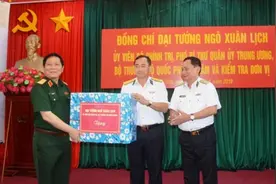 越南军队产业有多大呢？图片