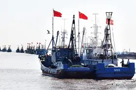 渤海湾昨日开渔——梭子蟹、皮皮虾……马上就能上餐桌图片