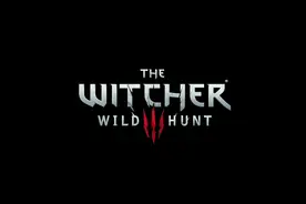 拉人入坑《巫师3》攻略：给他几张“社图”，剩下的就交给游戏吧图片