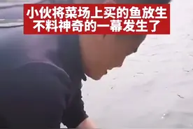 男子河边放生大鱼，竟被这条鱼感动得不行，男子：它向我点头致谢图片