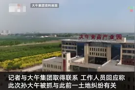大午集团回应孙大午被采取刑事强制措施：与土地纠纷有关 企业仍正常运转图片