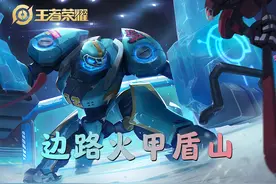 王者荣耀中那些被赛场上打到削弱的英雄，盾山直接换了职业图片