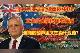 澳大利亚龙虾正偷渡回中国？这次，澳商的葫芦里又在卖什么药？图片