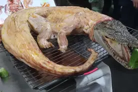 泰国300块一只的“烤全鱼”，太实惠了，网友：被坑了还在偷乐图片