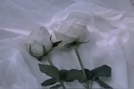 吸引力法则：一切的病都是心病，教你提升能量治愈病痛图片