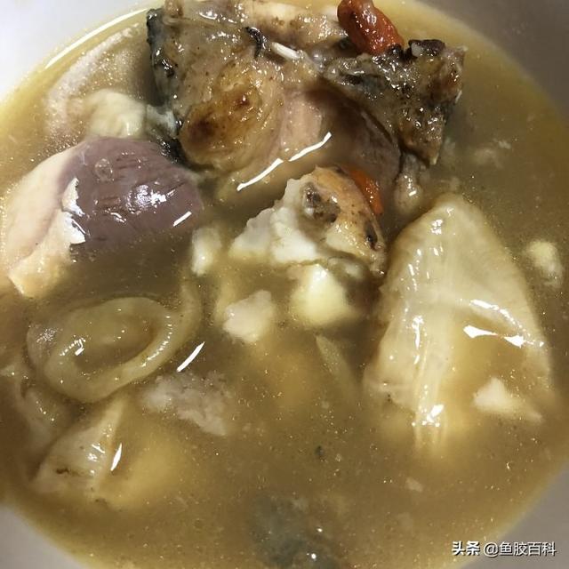 椰奶炖鱼胶大全功效 椰奶炖鱼胶大全功效与禁忌