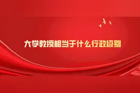 大学教授享受什么行政级别的待遇图片