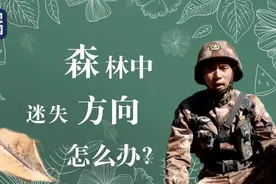 一枚针+一片树叶+一块磁铁制作指南针→新技能get图片