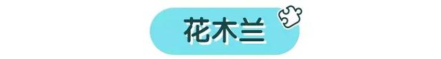 不是所有公主动画都适合孩子，真正好的还是这几部