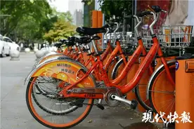 扫码免押骑！南京公共自行车拟接入支付宝图片