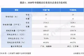 干货！2021年中国核电行业龙头企业分析-中国广核图片