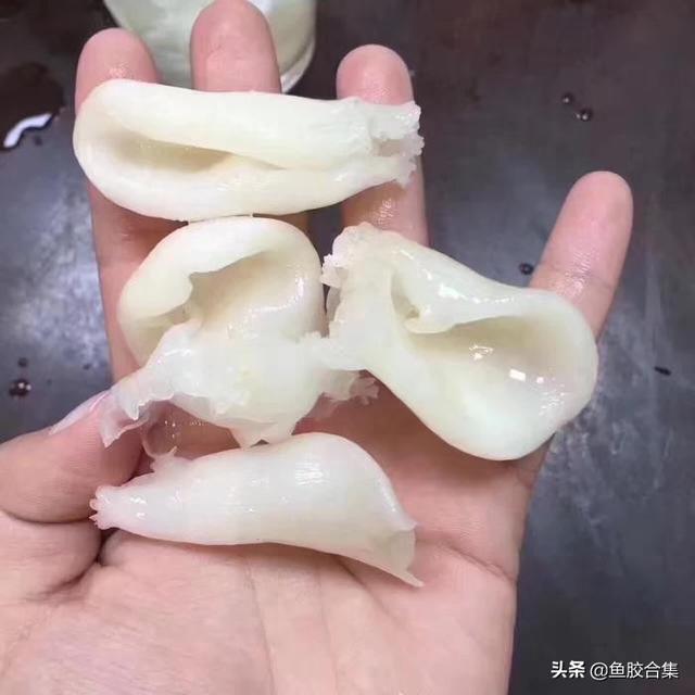 鸡蛋胶是什么鱼胶图片 2026年鸡蛋胶是鱼胶吗 鸡蛋胶是什么鱼胶图片 2026年鸡蛋胶是鱼胶吗
