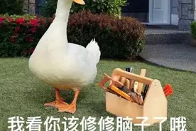 表情包：我看你就是在为难我鸭鸭图片