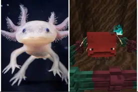 mc加入火云邪神？关于“炽足兽”，你可能不知道的13个小秘密！图片