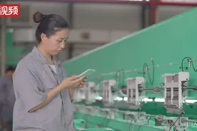 赶紧申领！浙江今天全面启用这张证 和你我都有关图片