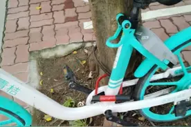 求放过！小情侣这个姿势骑车，共享单车无法承受的“生命之重”图片