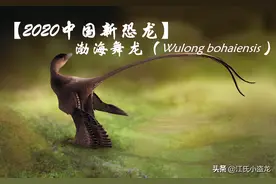 「2020中国恐龙盘点」渤海舞龙图片