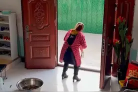 四川一儿子的女朋友突然到家拜访，准婆婆下一秒夸张行为引人大笑图片