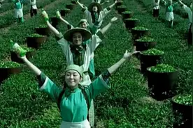 i 旅游丨统一绿茶喊你来大觉山亲近自然，夏季有漂流，更加“酚”图片