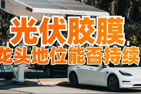 市占率比隆基宁德时代高得多，福斯特，绝对的新能源细分全球龙头图片