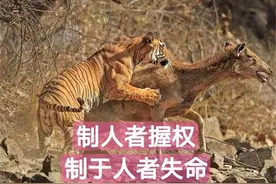 制人者只是握权，制于人者却失命，为何鬼谷子这么说呢图片