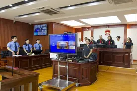 盗伐红豆杉 检察机关提起刑事附带民事公益诉讼图片