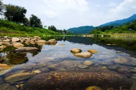 以前农村随处可见的这几种鱼，现在已经难觅它们踪影了图片