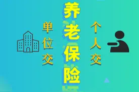 养老保险个人交和单位交的区别图片