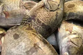 徽州名菜臭鳜鱼，制作方法大公开，一起学习吧图片