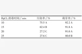 蝴蝶兰‘红天鹅’组织培养及快繁技术图片