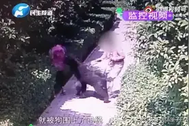 “狗咬人”事件处理结果来了！女子跳楼“拿命控告遛狗不栓绳”警方受理案件上海新闻广播图片