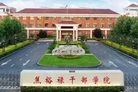 好大一棵树（随笔）图片
