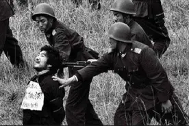 西安悍匪——魏振海的江湖路图片