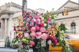 他半夜偷溜出门，用百万朵鲜花，将街头垃圾桶爆改成绝美花展图片