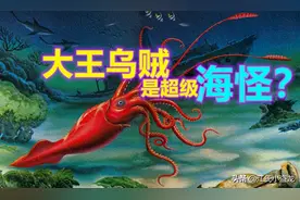 大王乌贼真的是体长30米的超级海怪？图片